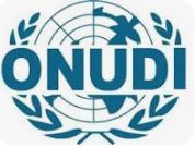 ONUDI Logo